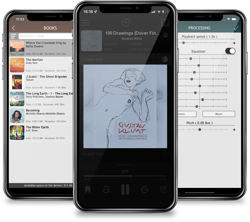 Listen 100 Drawings (Dover Fine Art) by Gustav Klimt in MP3 Audiobook Player for free