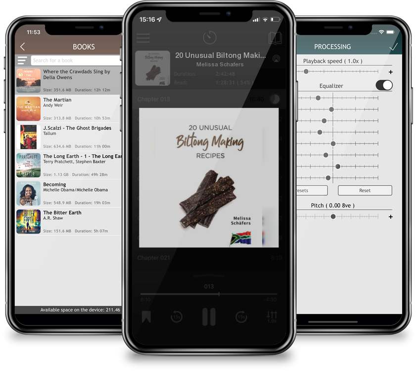 Audiobook 20 Unusual Biltong Making Recipes by Melissa Schafers
