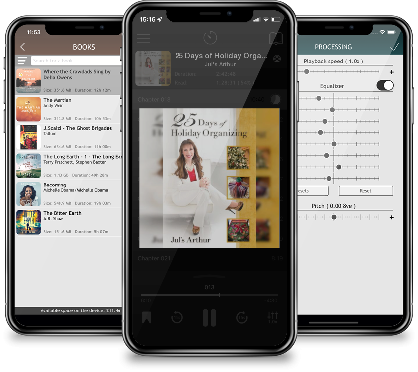 Audiobook 25 Days of Holiday Organizing by Jul's Arthur