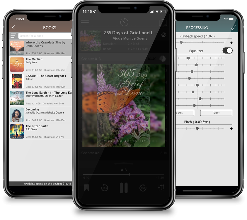 Audiobook 365 Days of Grief and Love by Vickie Monroe Guerry
