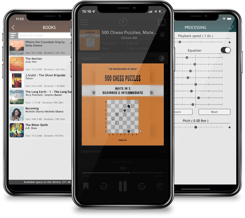 Audiobook 500 Chess Puzzles, Mate in 2, Beginner and Intermediate Level by Chess Akt