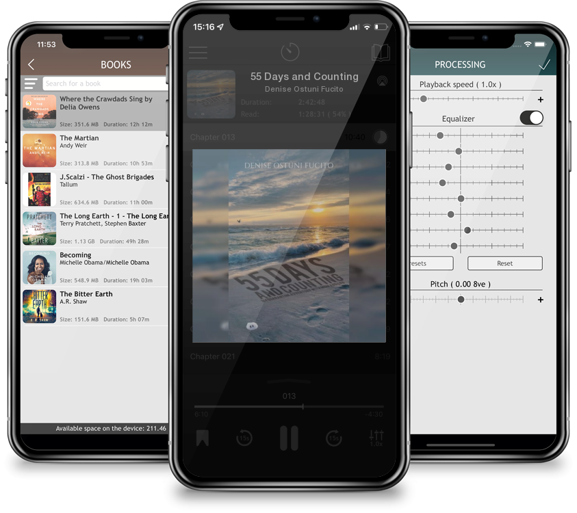 Audiobook 55 Days and Counting by Denise Ostuni Fucito