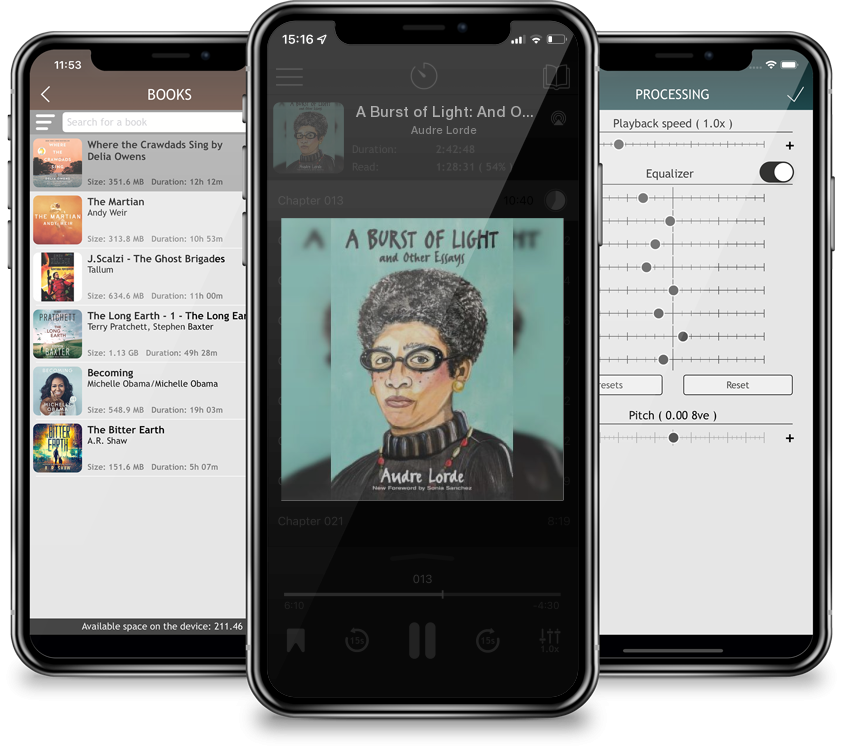 Audiobook A Burst of Light: And Other Essays by Audre Lorde