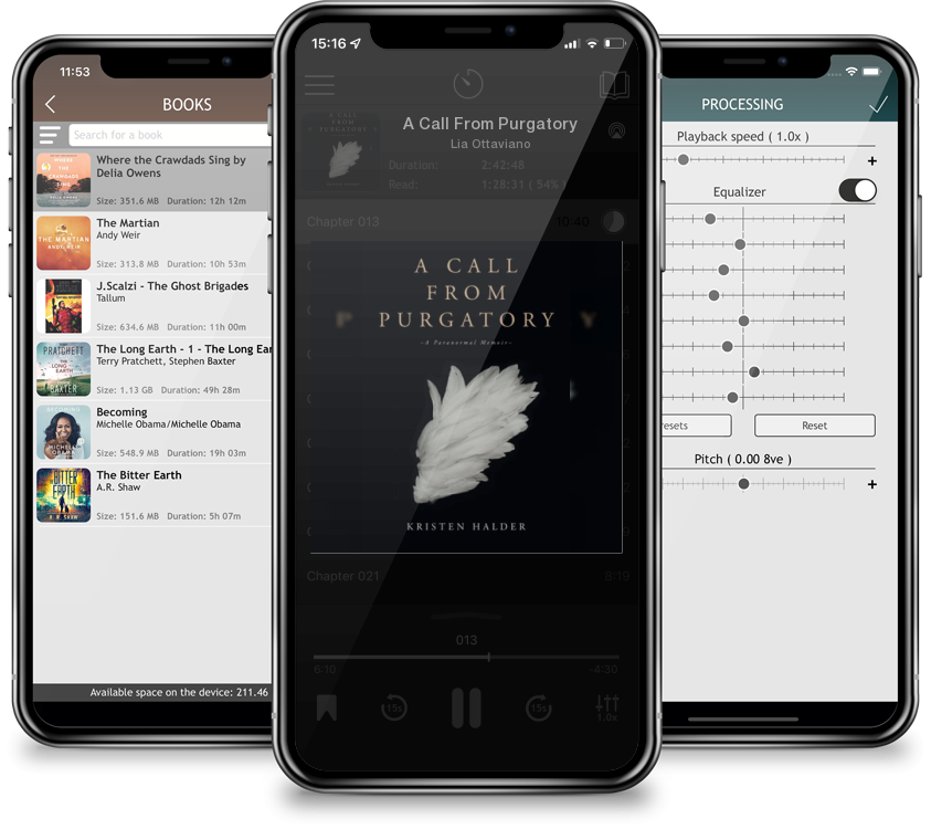 Audiobook A Call From Purgatory by Lia Ottaviano