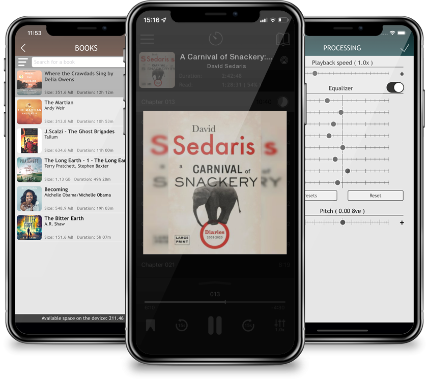 Audiobook A Carnival of Snackery: Diaries (2003-2020) (Large Print / Hardcover) by David Sedaris