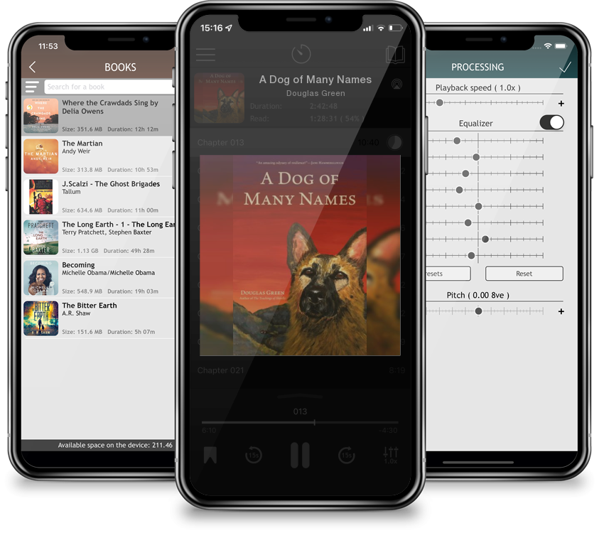 Audiobook A Dog of Many Names by Douglas Green