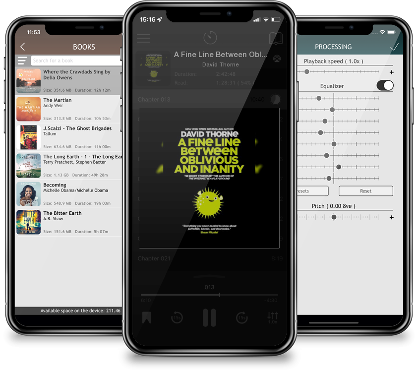 Audiobook A Fine Line Between Oblivious and Inanity by David Thorne