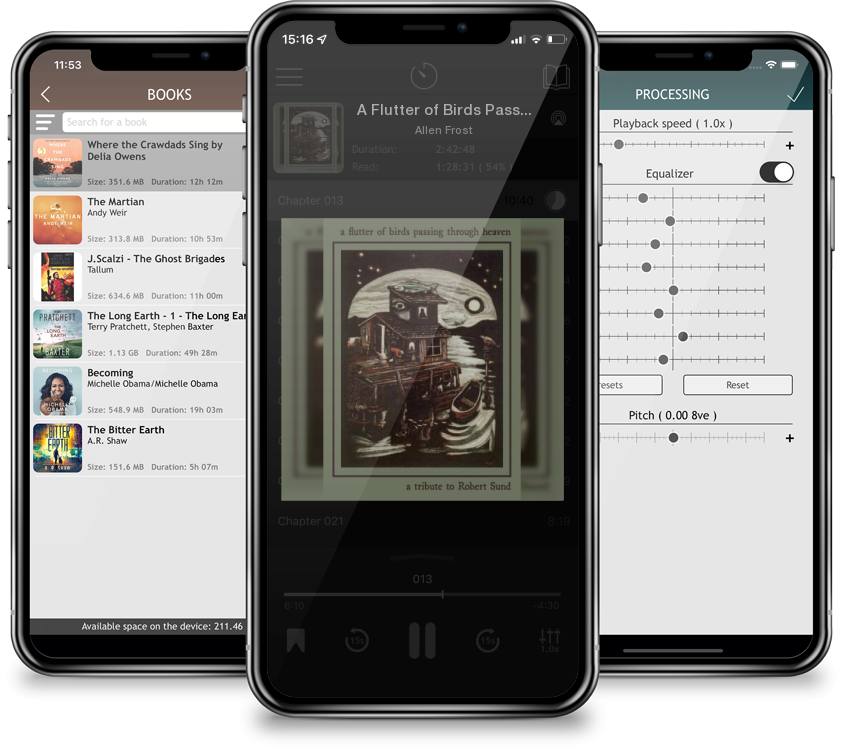 Audiobook A Flutter of Birds Passing Through Heaven: A Tribute to Robert Sund by Allen Frost