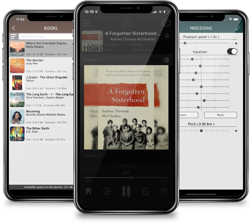 Audiobook A Forgotten Sisterhood: Pioneering Black Women Educators and Activists in the Jim Crow South by Audrey Thomas McCluskey