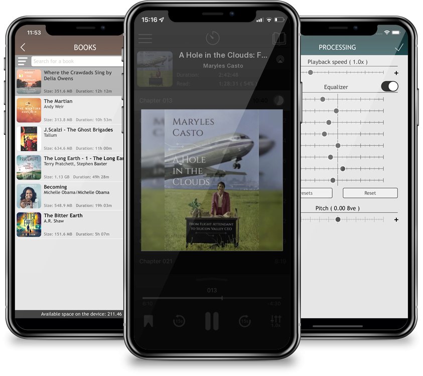 Audiobook A Hole in the Clouds: From Flight Attendant to Silicon Valley CEO by Maryles Casto