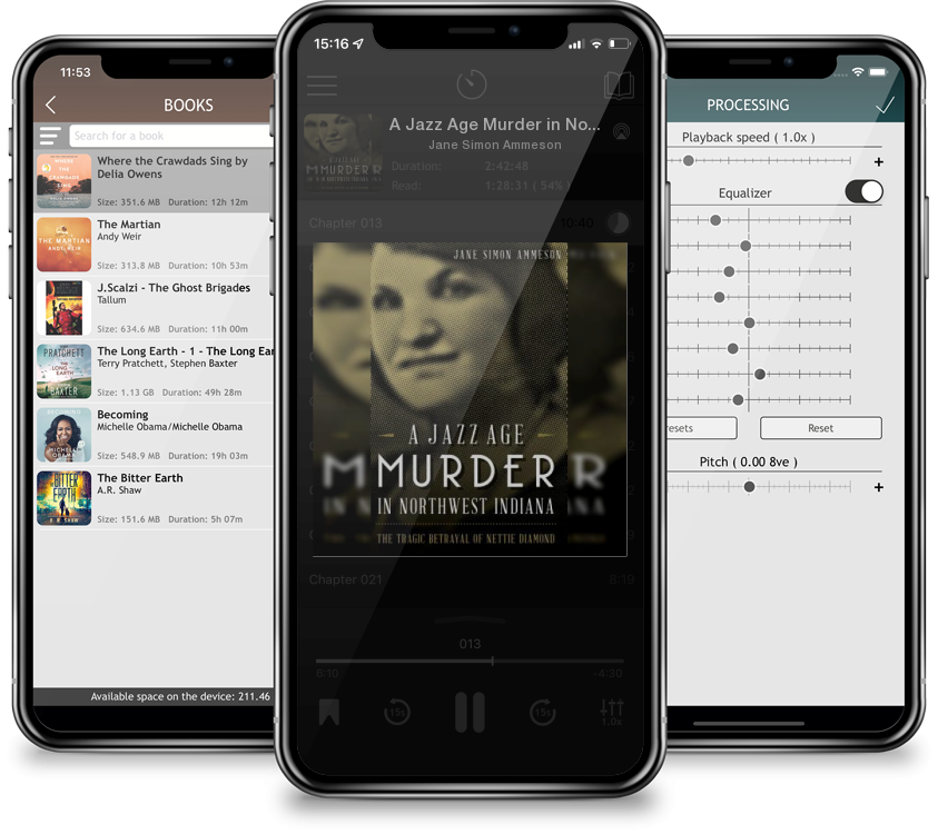 Audiobook A Jazz Age Murder in Northwest Indiana: The Tragic Betrayal of Nettie Diamond by Jane Simon Ammeson