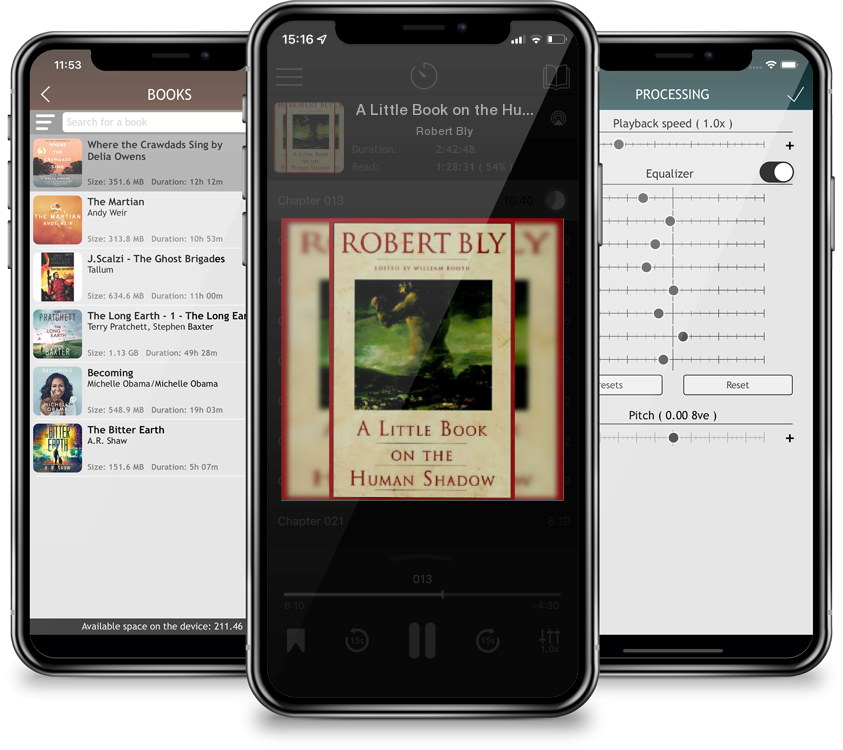 Listen A Little Book on the Human Shadow by Robert Bly in MP3 Audiobook Player for free