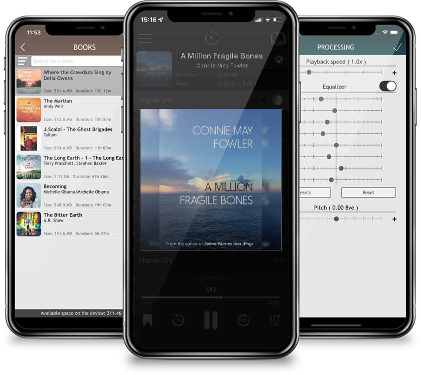 Audiobook A Million Fragile Bones by Connie May Fowler