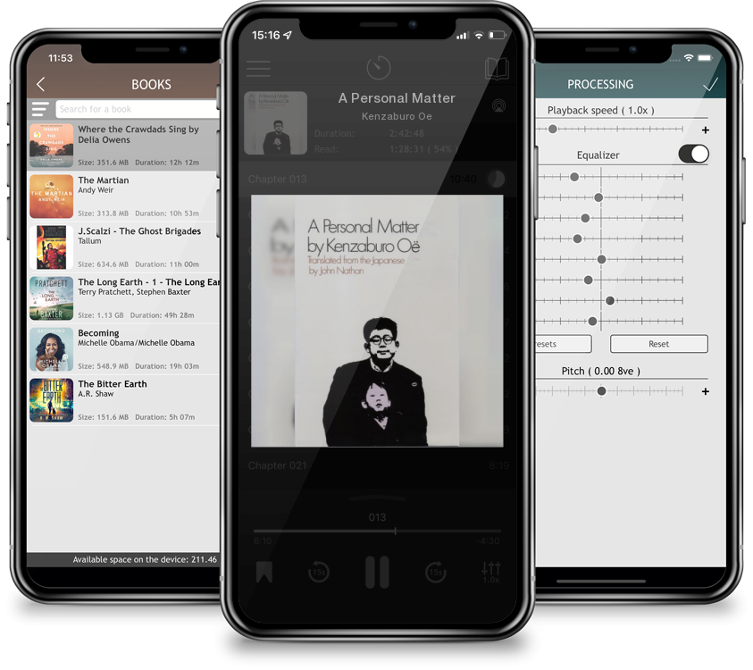 Audiobook A Personal Matter by Kenzaburo Oe