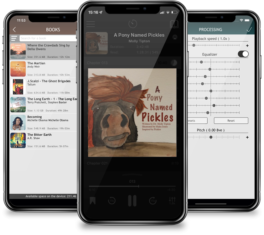 Audiobook A Pony Named Pickles by Molly Tipton