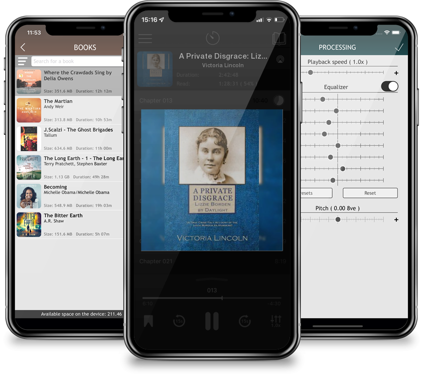 Audiobook A Private Disgrace: Lizzie Borden by Daylight: (A True Crime Fact Account of the Lizzie Borden Ax Murders) by Victoria Lincoln