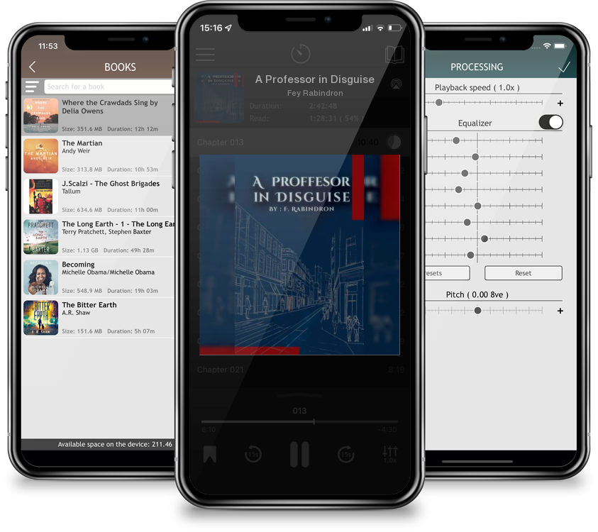 Audiobook A Professor in Disguise by Fey Rabindron