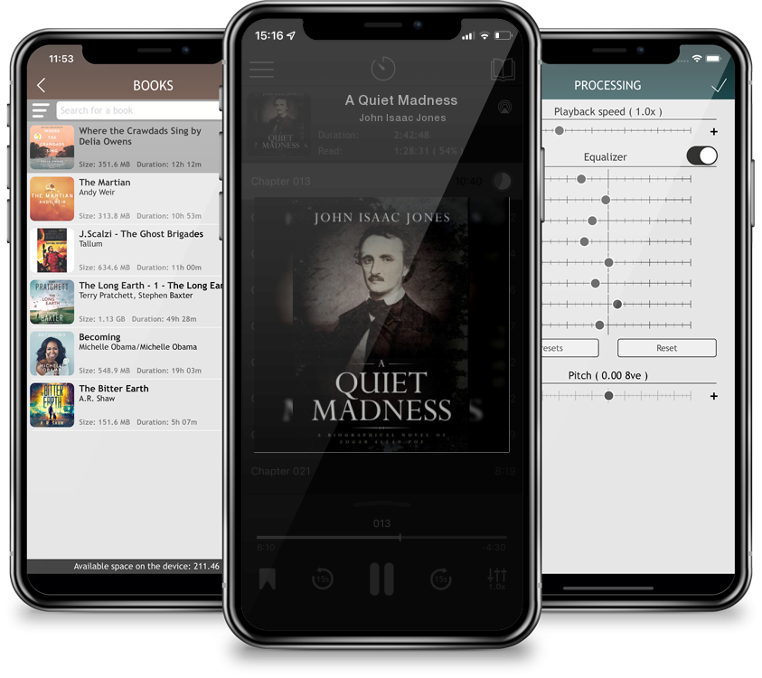 Audiobook A Quiet Madness by John Isaac Jones