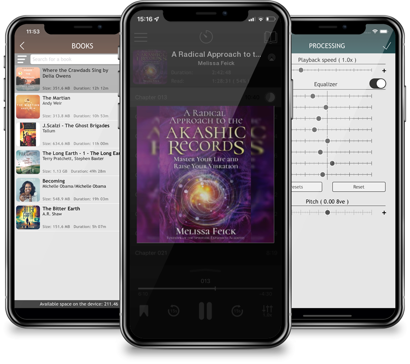 Audiobook A Radical Approach to the Akashic Records: Master Your Life and Raise Your Vibration by Melissa Feick