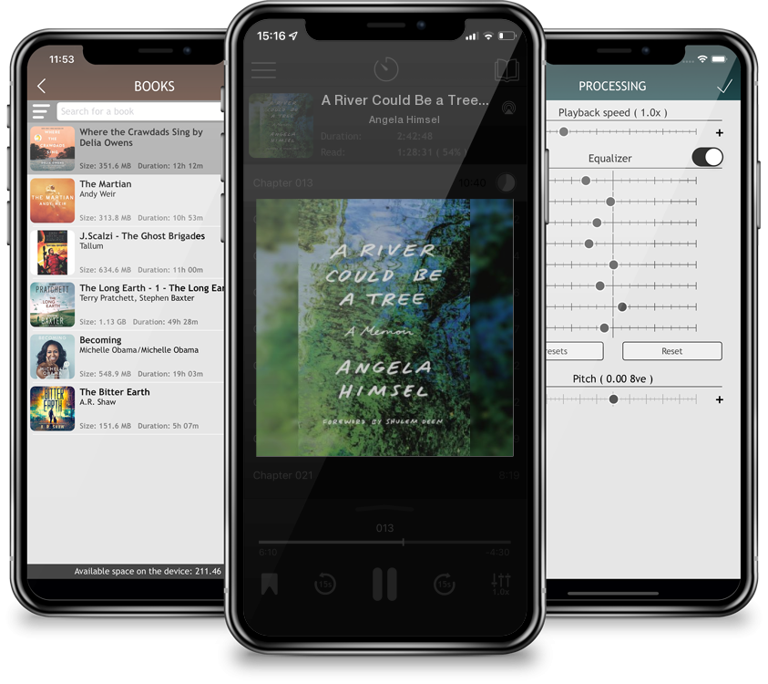 Audiobook A River Could Be a Tree: A Memoir by Angela Himsel