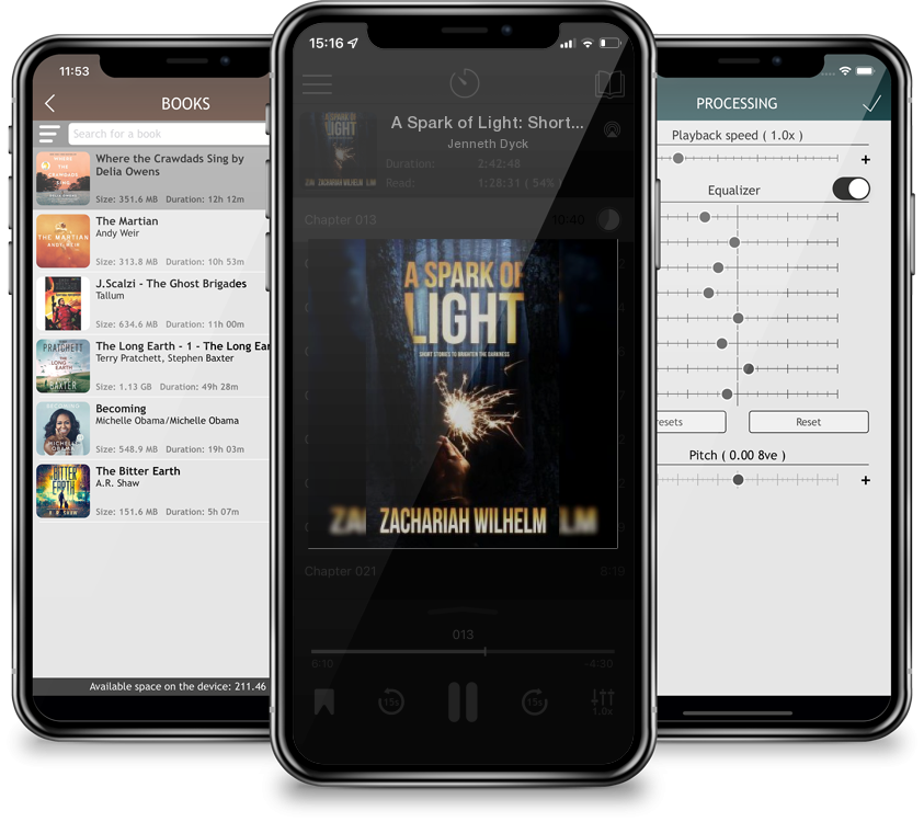 Audiobook A Spark of Light: Short Stories to Brighten the Darkness by Jenneth Dyck