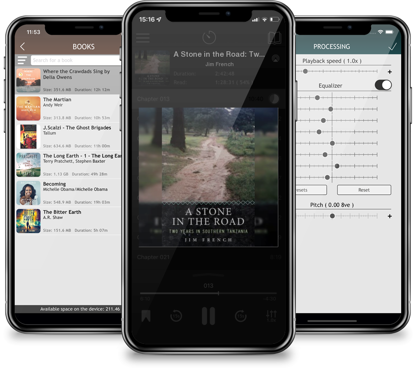 Audiobook A Stone in the Road: Two Years in Southern Tanzania by Jim French