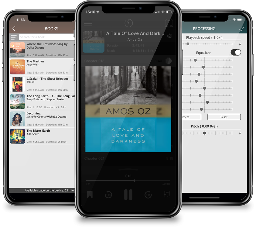 Audiobook A Tale Of Love And Darkness by Amos Oz