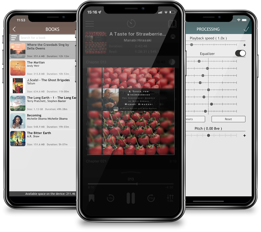 Audiobook A Taste for Strawberries: by Manabi Hirasaki