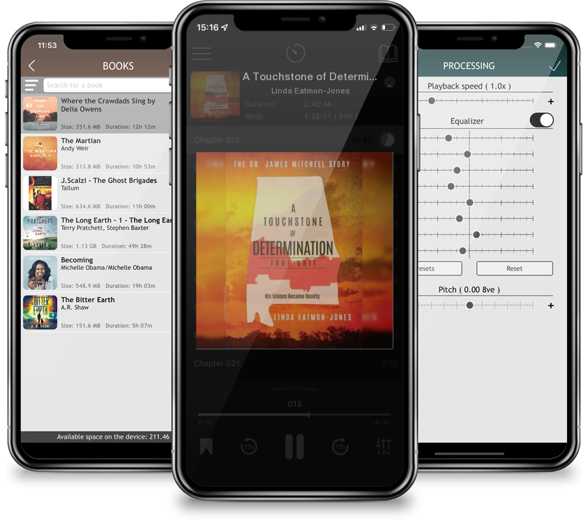 Audiobook A Touchstone of Determination - True Grit: The Dr. James Mitchell Story by Linda Eatmon-Jones