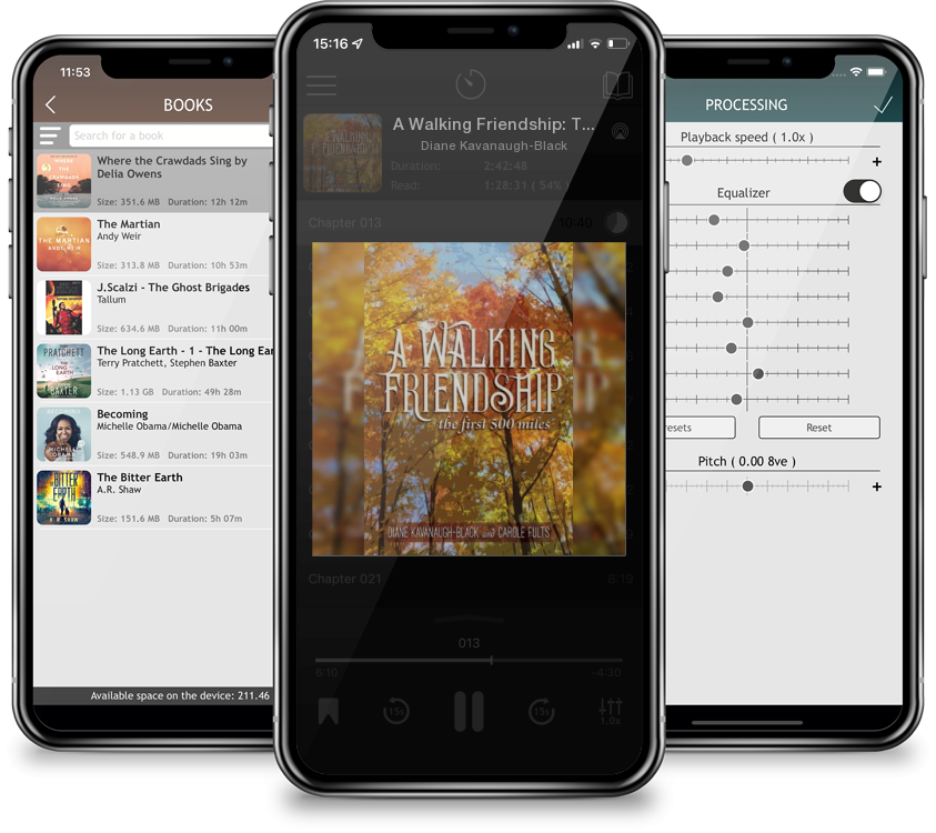 Audiobook A Walking Friendship: The First 500 Miles by Diane Kavanaugh-Black