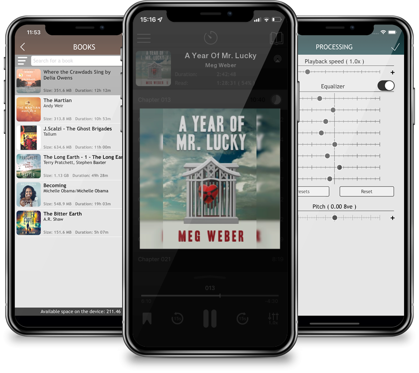 Audiobook A Year Of Mr. Lucky by Meg Weber