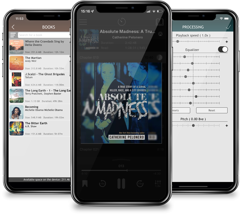 Audiobook Absolute Madness: A True Story of a Serial Killer, Race, and a City Divided by Catherine Pelonero