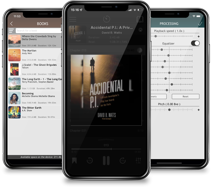 Audiobook Accidental P.I.: A Private Investigator\'s Fifty-Year Search for the Facts by David B. Watts