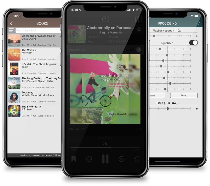 Audiobook Accidentally on Purpose: Tripping Through Life with Regina by Regina Meredith