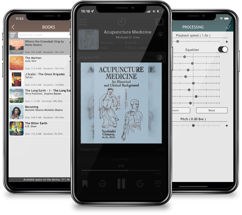 Audiobook Acupuncture Medicine by Michael D. Coe