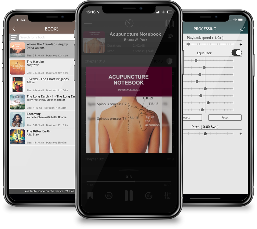 Audiobook Acupuncture Notebook by Bruce W. Park