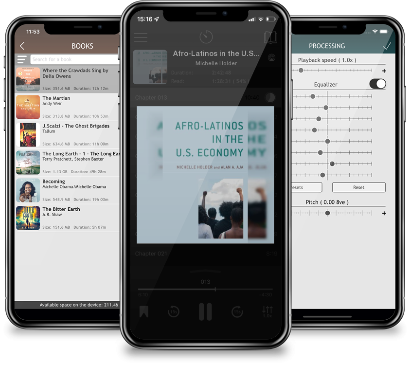 Audiobook Afro-Latinos in the U.S. Economy by Michelle Holder