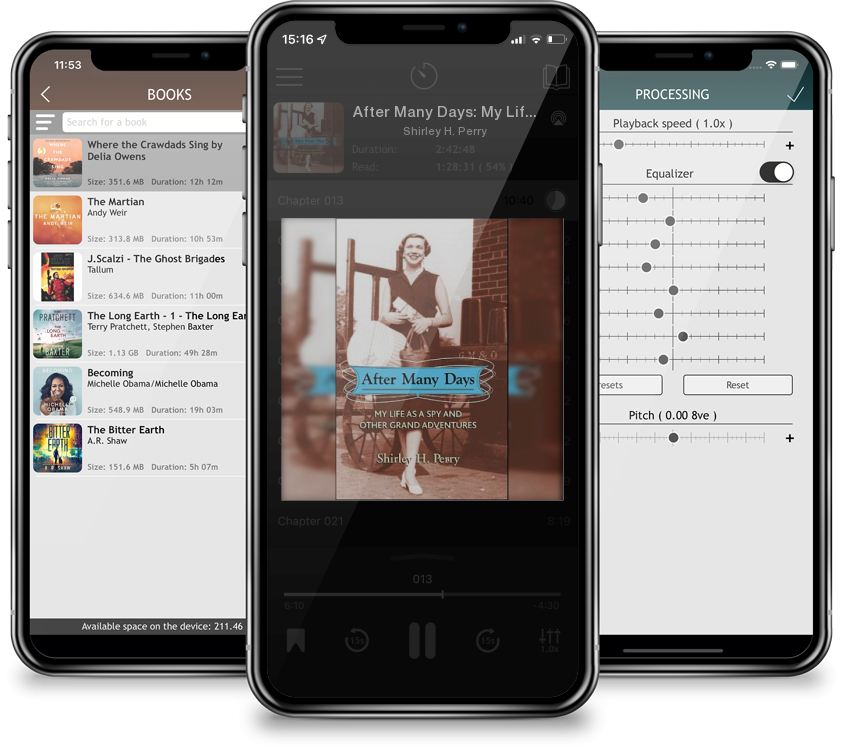 Audiobook After Many Days: My Life as a Spy and Other Grand Adventures by Shirley H. Perry