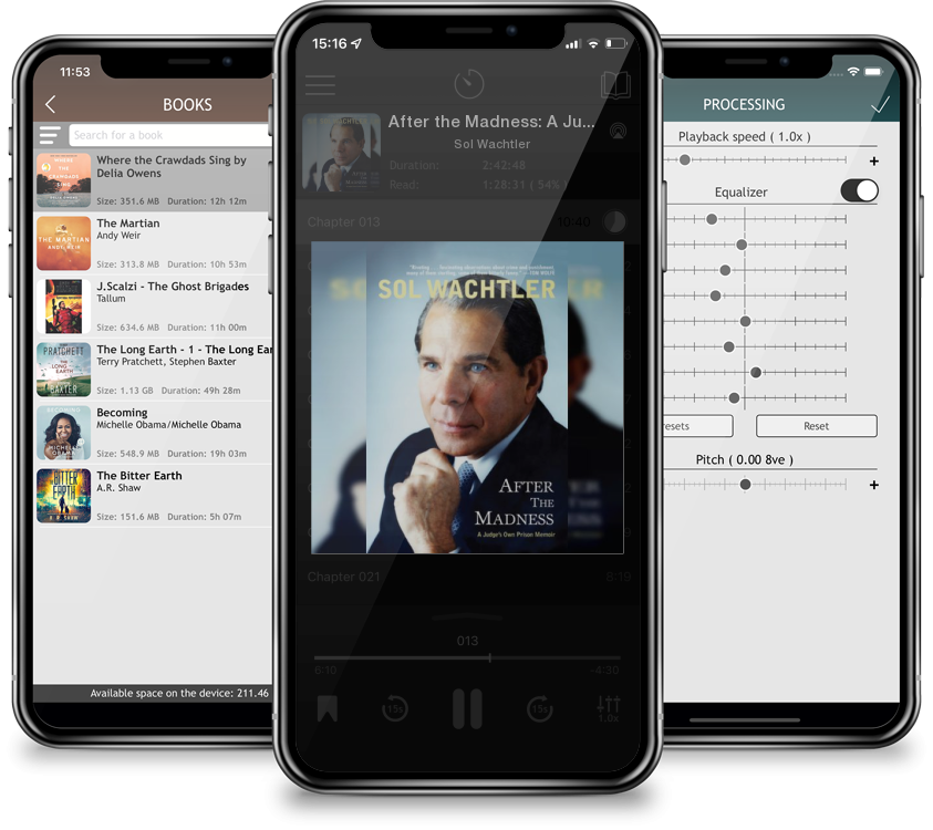 Audiobook After the Madness: A Judge\'s Own Prison Memoir by Sol Wachtler