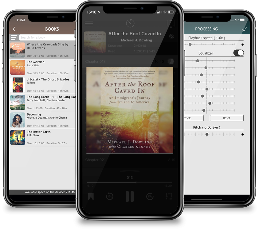 Audiobook After the Roof Caved In: An Immigrant\'s Journey from Ireland to America by Michael J. Dowling