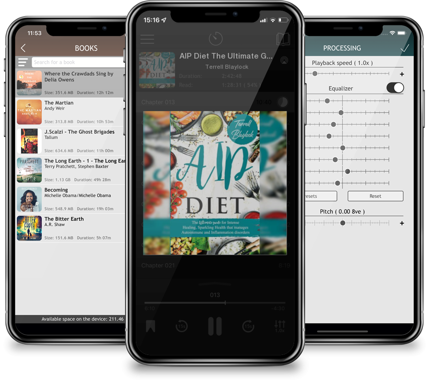 Audiobook AIP Diet The Ultimate Guide for Intense Healing and Sparkling Health That Manages Autoimmune and Inflammation Disorders by Terrell Blaylock