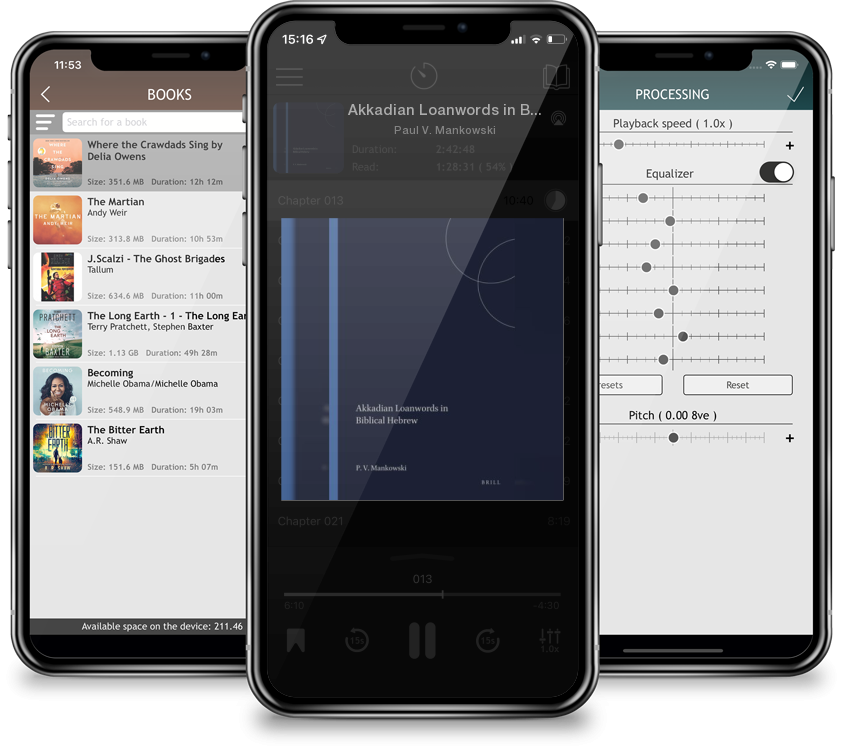 Audiobook Akkadian Loanwords in Biblical Hebrew (Harvard Semitic Studies #47) by Paul V. Mankowski