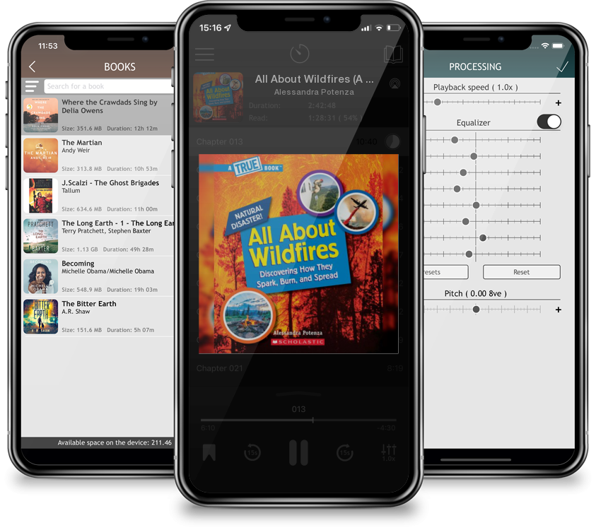 Audiobook All About Wildfires (A True Book: Natural Disasters) by Alessandra Potenza