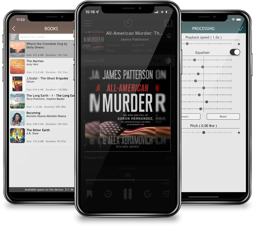 Audiobook All-American Murder: The Rise and Fall of Aaron Hernandez, the Superstar Whose Life Ended on Murderers\' Row (James Patterson True Crime #1) (Large Print / Hardcover) by James Patterson