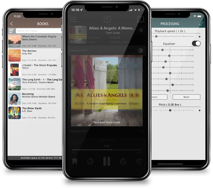 Audiobook Allies & Angels: A Memoir of Our Family\'s Transition by Terri Cook