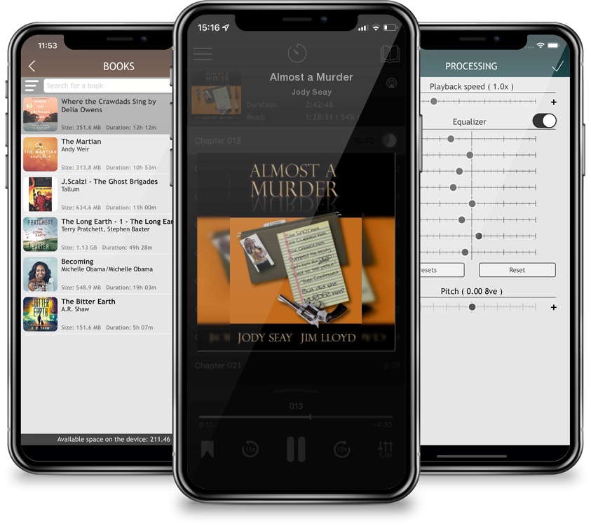Audiobook Almost a Murder by Jody Seay