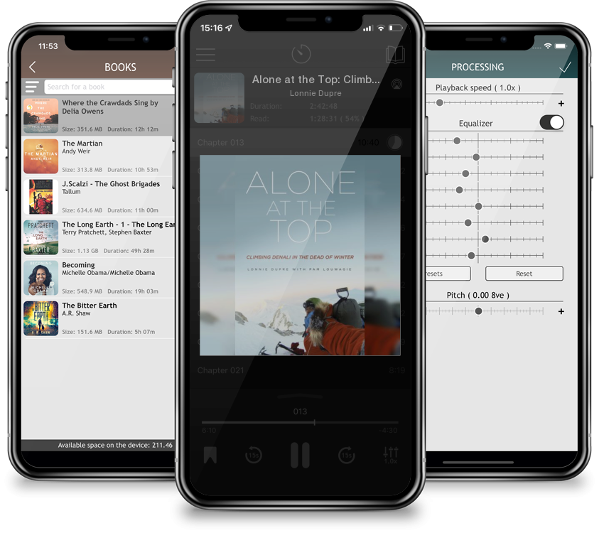 Audiobook Alone at the Top: Climbing Denali in the Dead of Winter by Lonnie Dupre