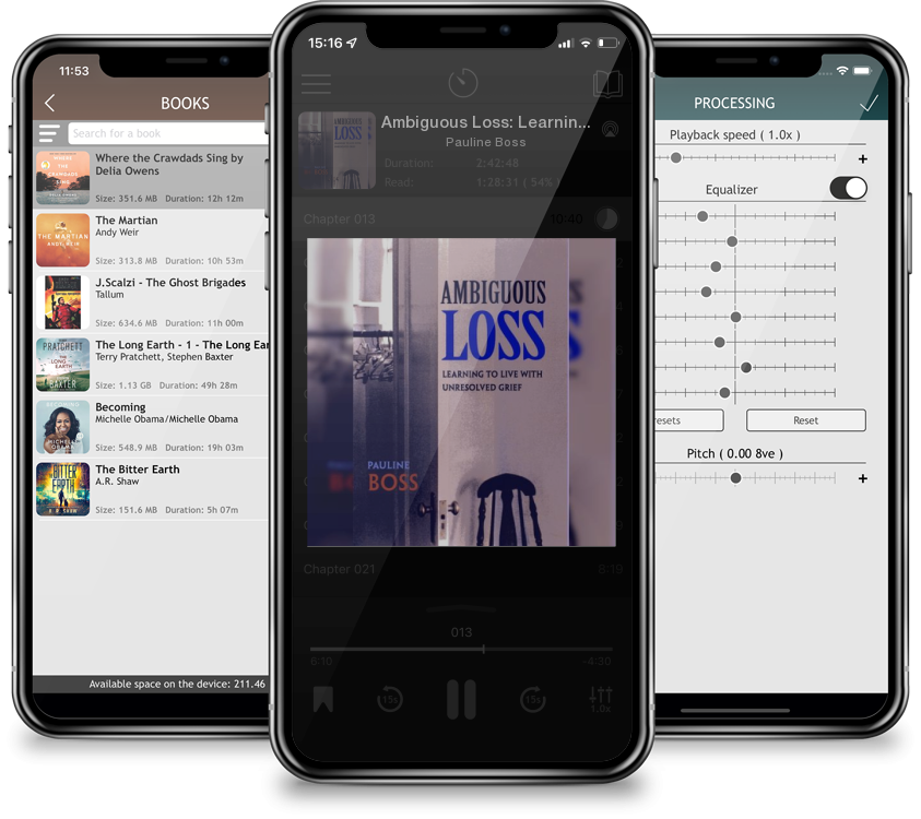Audiobook Ambiguous Loss: Learning to Live with Unresolved Grief by Pauline Boss