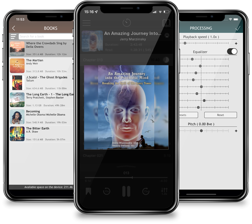 Audiobook An Amazing Journey Into the Psychotic Mind - Breaking the Spell of the Ivory Tower by Jerry Marzinsky