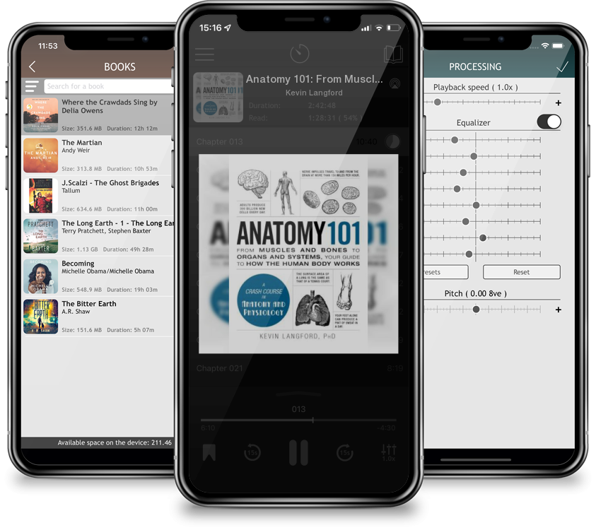 Audiobook Anatomy 101: From Muscles and Bones to Organs and Systems, Your Guide to How the Human Body Works (Adams 101) by Kevin Langford